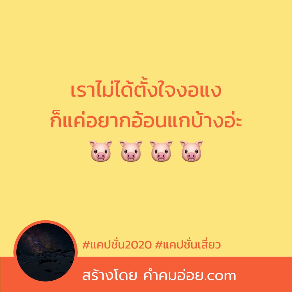 รวม 53 